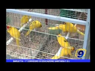 Barletta | 1° convegno di educazione sanitaria F.O.I.