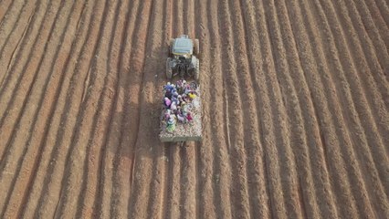 Nigeria: la douloureuse expérience de farmiers zimbabwéens