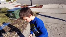 Kid Temper Tantrum Breaks Mommys Kitchen Decorations [ Original ]