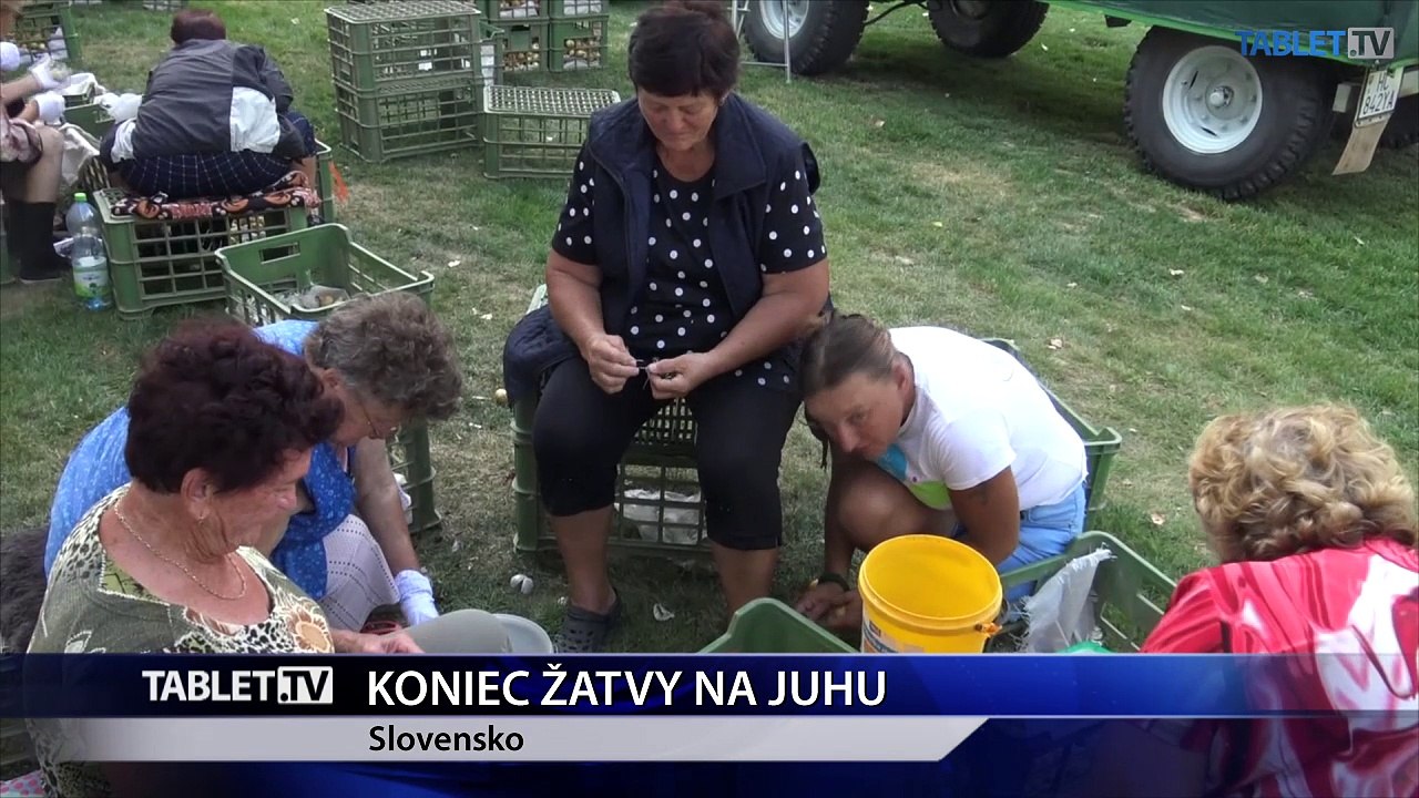 Žatvu na juhu Slovenska ukončili, na severe postupne finišujú