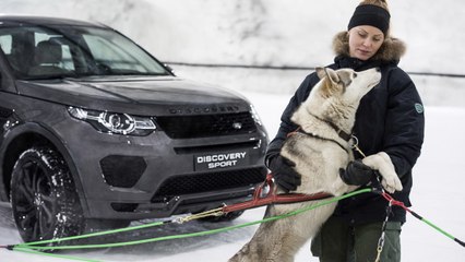 VÍDEO: Un Land Rover Discovery Sport contra un trineo tirado por perros