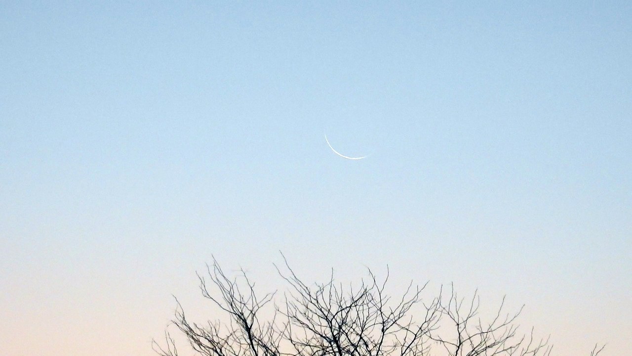 Luna Appena nata