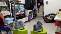 kids playground ~indoor outdoor 孩子們的遊樂場〜室內室外 子供たちの遊び場〜屋内屋外 어린이 놀이터 ~ 실내 실외~otoro