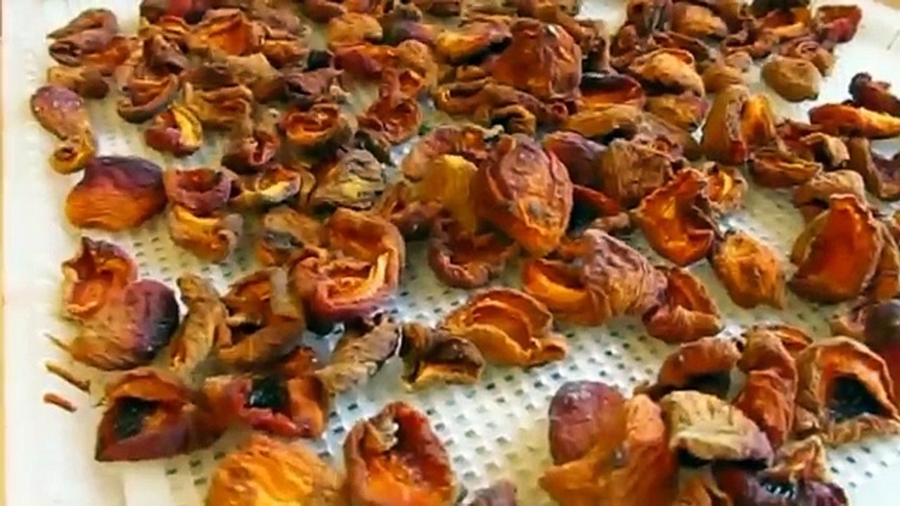 Recetas de comida sana