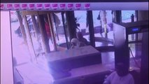 Vatan Şaşmaz'ın Oteldeki Son Anları Güvenlik Kamerasında