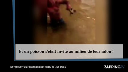 Texas - Harvey : Après l'ouragan, une famille fait une drôle de découverte dans son salon ! (vidéo)