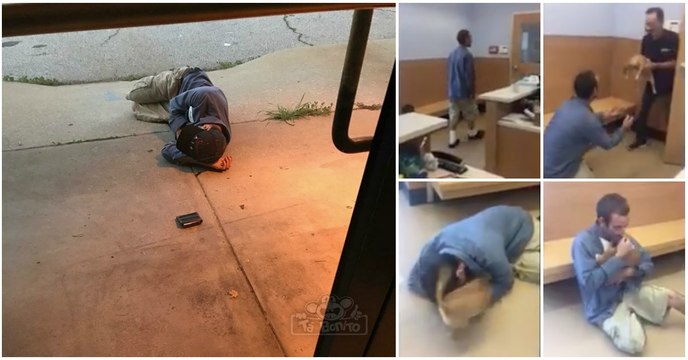 Sem-abrigo passa a noite à porta de um canil na esperança de no dia seguinte encontrar a sua cadela