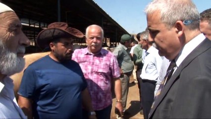 Koç Alana Dana Bedava