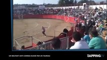 Carcassonne : Un militant anti-corrida blessé par un taureau en pleine arène (vidéo)