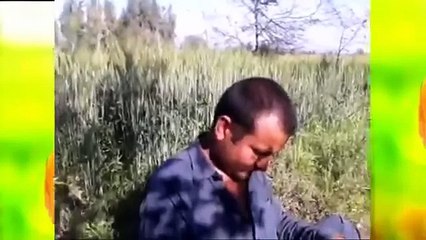 Jalat Khan Bandi Da Payso Dawa Shawey Da | جلات خان باندی دہ پیسو دعوہ شوے