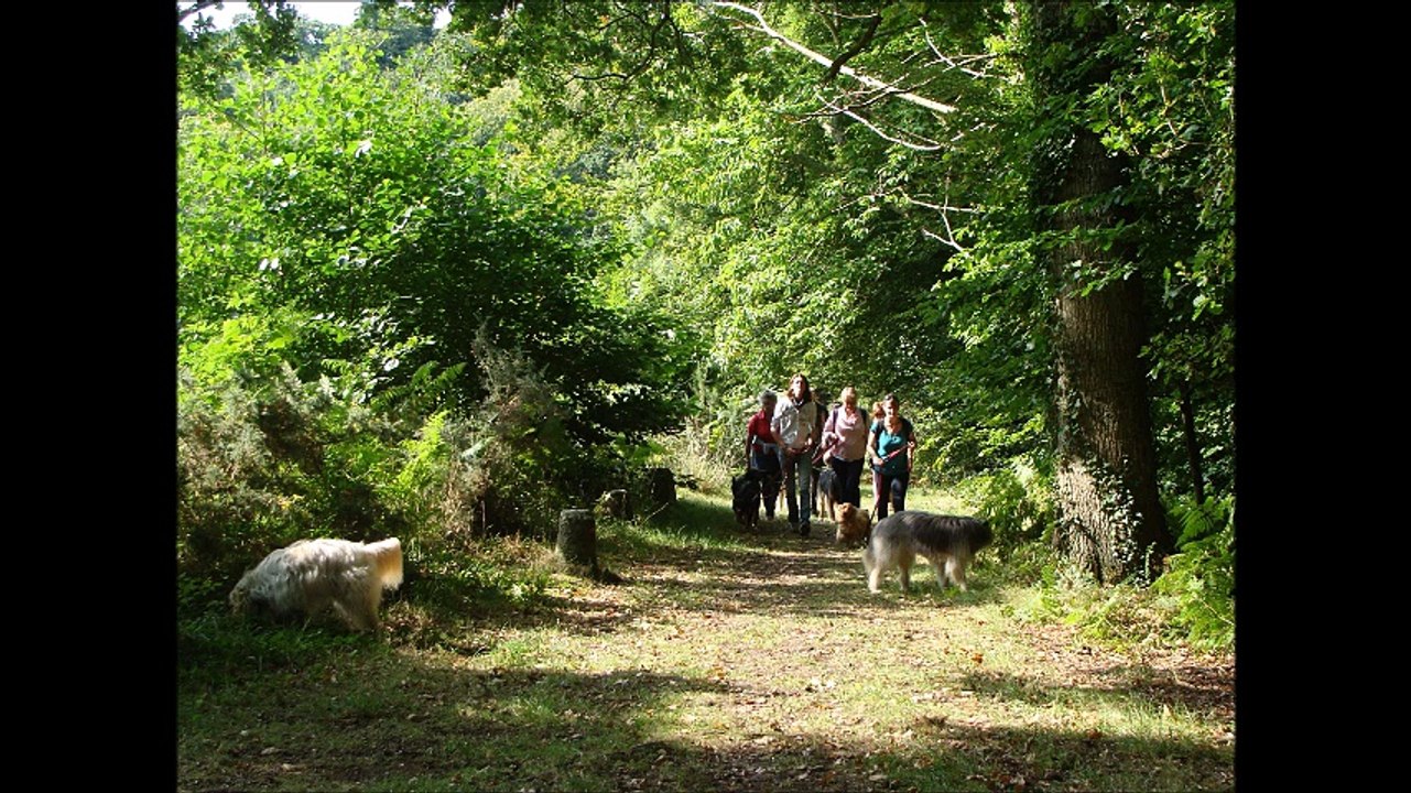 La Récréachien : sortie éducation canine Trestel 27/08/2017