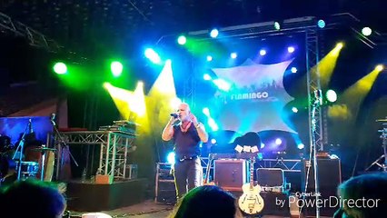 Nino_Brokser_Heiratsmarkt_❤_SD[1]