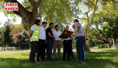 (28 Ağustos 2017) BÜYÜKŞEHİR BELEDİYESİ,  AĞAÇLARIN KESİLMEMESİ İÇİN PROJEYİ DEĞİŞTİRDİ.