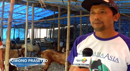 Jelang Idul Adha, Ratusan Kambing Kurban Didatangkan dari Luar Kota