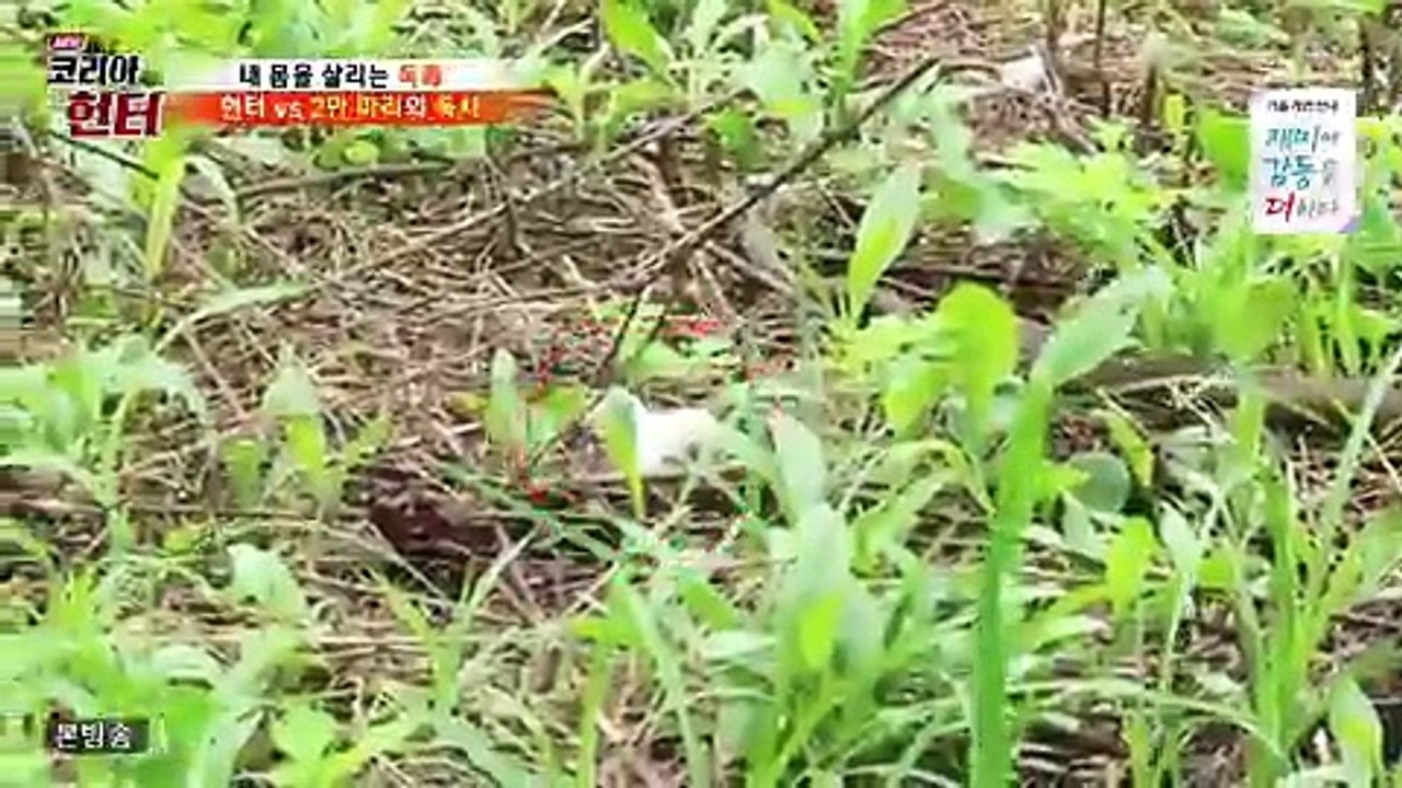 NEW 코리아 헌터.E65.170828