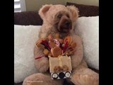 This Spoiled Goldendoodle Enjoys a Junk Food Bouquet