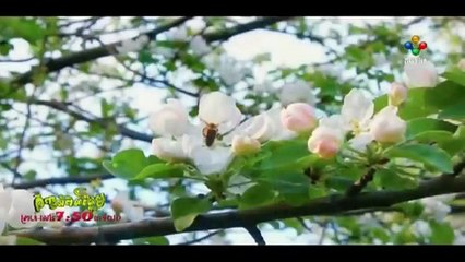 PNN កញ្ញាអំពិលផ្អែម Part 27