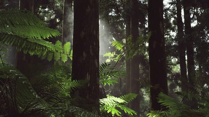 Les mondes perdus : Le mystère des dragons à plumes