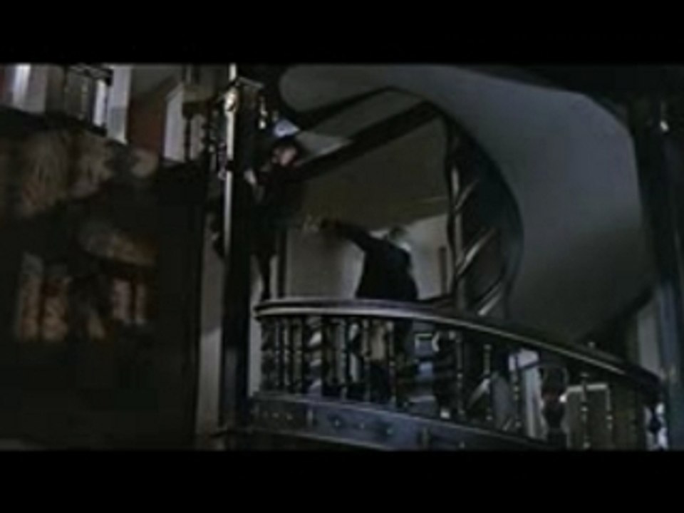La tulipe noire