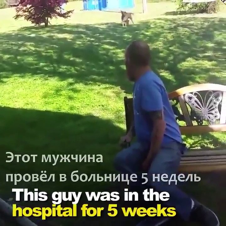 Мужик повернувся настільки схудлим після лікарні, що собакен його спочатку не впізнавав