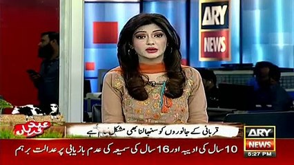 This compilation of runaway cows will make your day