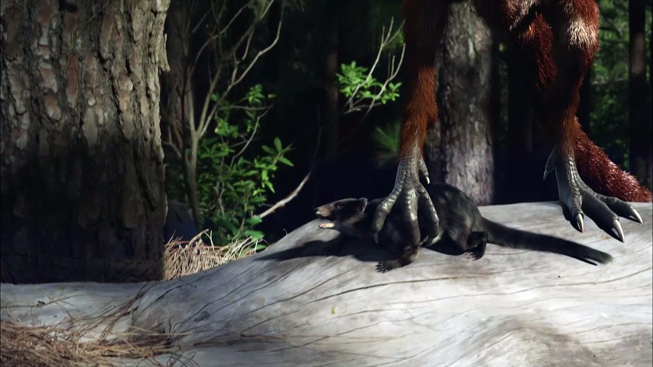 Les mondes perdus : L'aube des mammifères