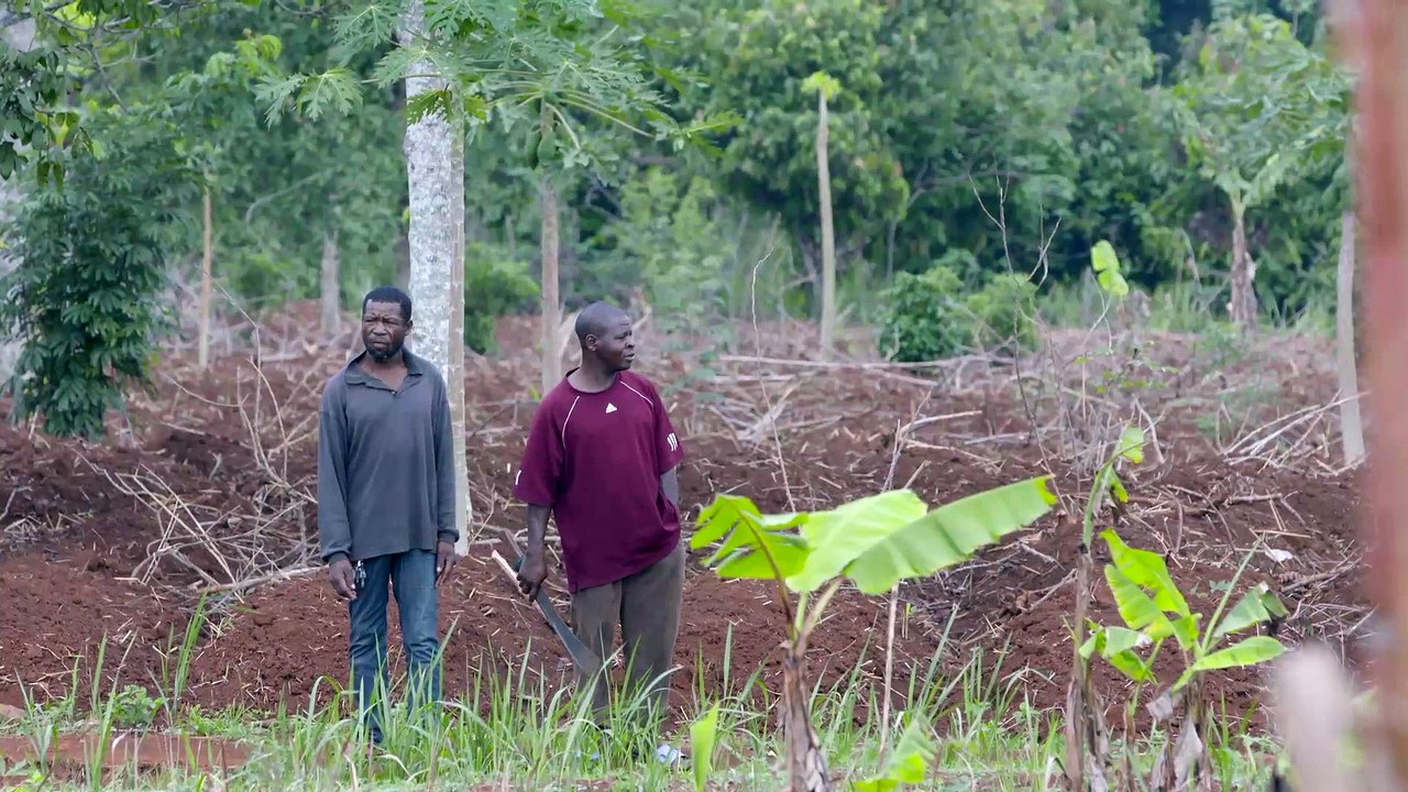 Aventure, retour au pays natal