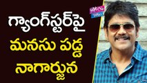 గ్యాంగ్‌స్టర్‌ పై మనసు పడ్డ నాగార్జున  | Akkineni Nagarjuna Becomes Gangster | YOYO Cine Talkies