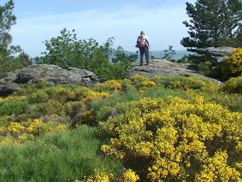 Autour des Roches Marlin 657 m - Châteauneuf 42800 Parc du Pilat