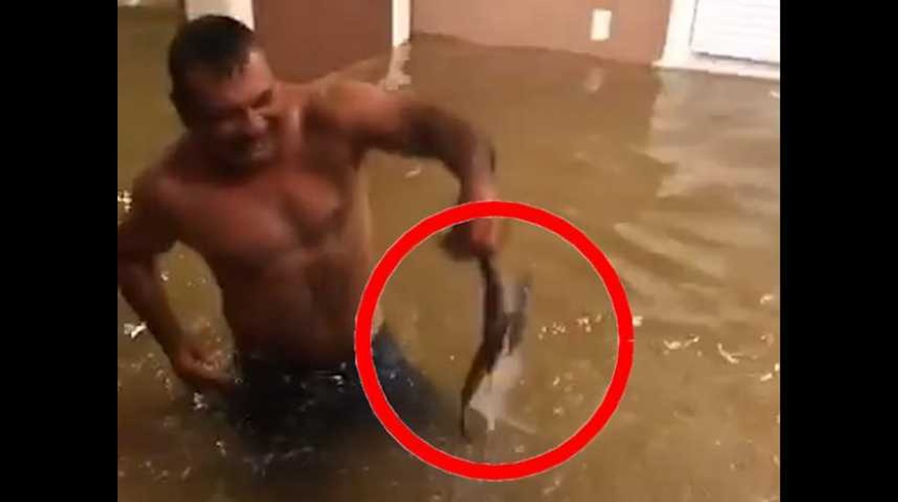 Grâce à la tempête Harvey, cette famille américaine n'aura pas à sortir pour faire ses courses