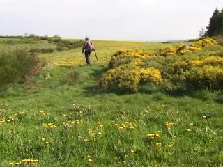 Autour du Crêt de Chaussitre 1240 m de Prélager - St--Régis-du-Coin 42660