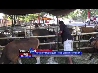 Tips Memilih Hewan Kurban Yang Sehat - NET24