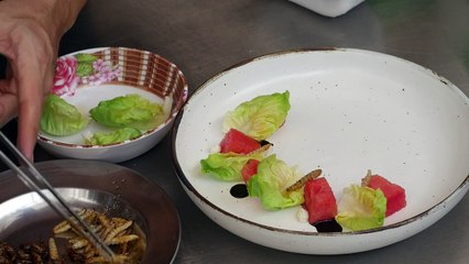 Gourmet grub: Thai fine-diners explore insect cuisine