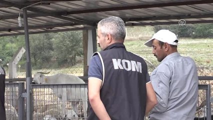 Kurban Satıcılarına Sahte Para Uyarısı