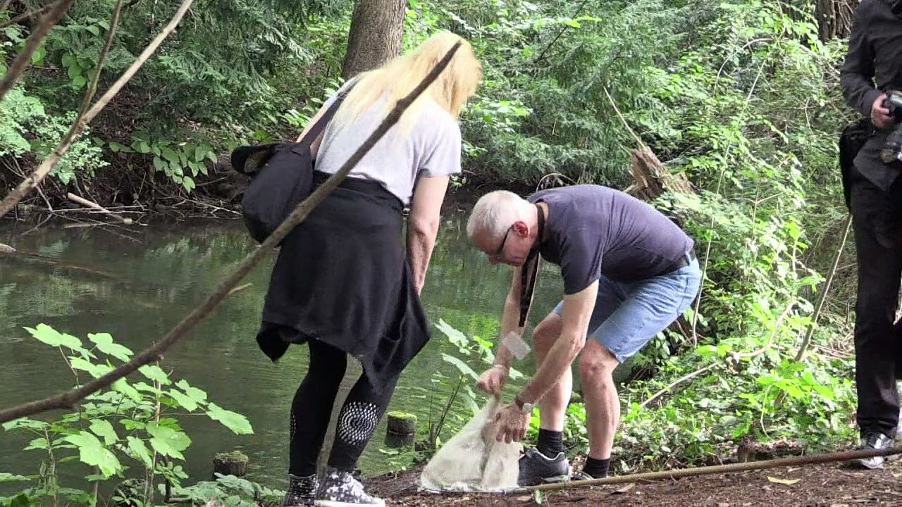 Berlin: inquiétude face à l'invasion des écrevisses de Louisiane