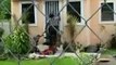 Animal Cops Miami Cardboard Dog House