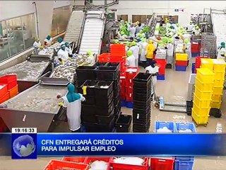 Créditos sin garante para nuevos emprendedores