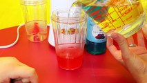 JELLY BELLY Slushie Maker   Fruit Popsicles Shaved Ice ICEE Desserts & Candy Flavors Disne