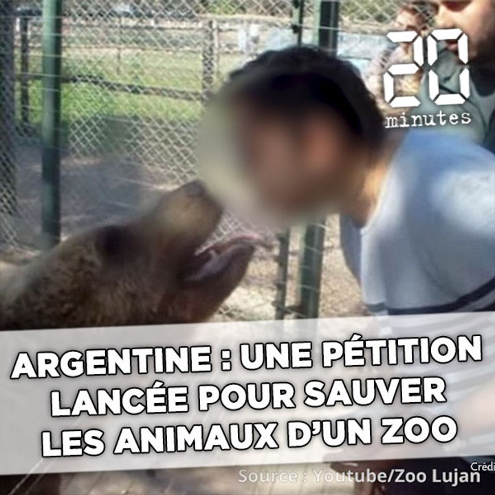 Argentine : Une pétition lancée pour sauver les...