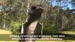 Des prisonniers australiens s'occupent d'animaux abandonnés