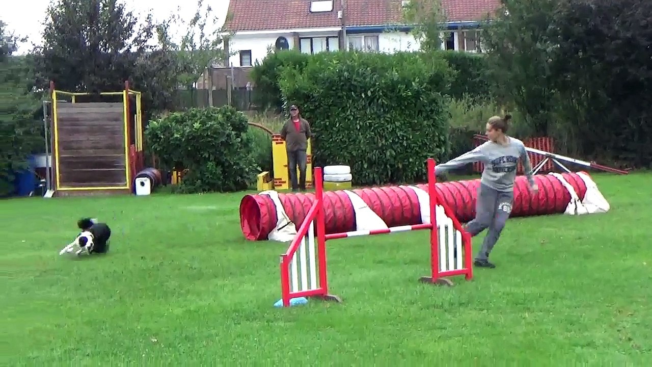 Agility à Quaregnon