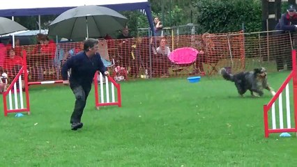 Agility à Quaregnon