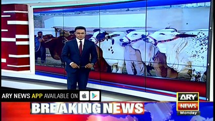 Cattle market trends sluggish