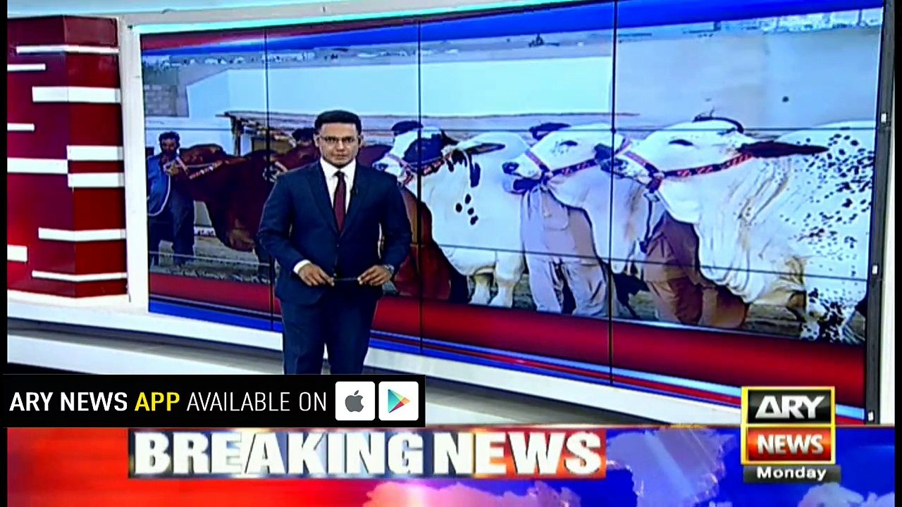 Cattle market trends sluggish