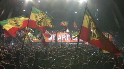 More Than Twenty Reloaded | L'histoire de l'équipe Rototom depuis 1991