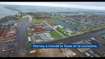 Sauvetages en hélicoptère, bouées, alligators... Les scènes les plus surprenantes de la tempête Harvey aux Etats-Unis