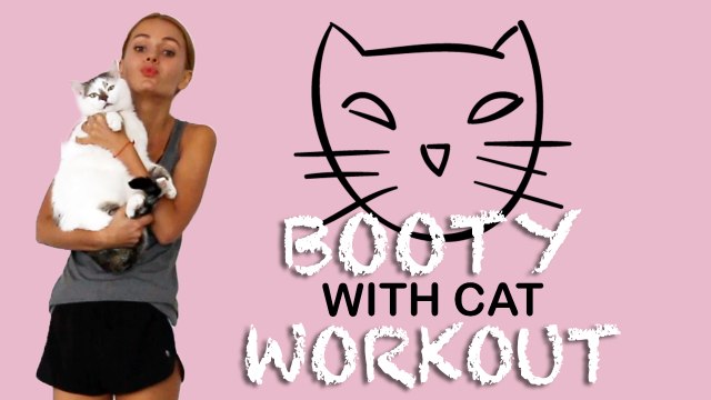 CAT BOOTY WORKOUT - No Gym? No problem