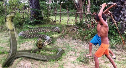 World's Biggest Snake Anaconda Found in India | Catch By Two Brave Boy