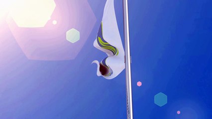 max-media-group-web-design-branded-graphics-digital-marketing-video-flag