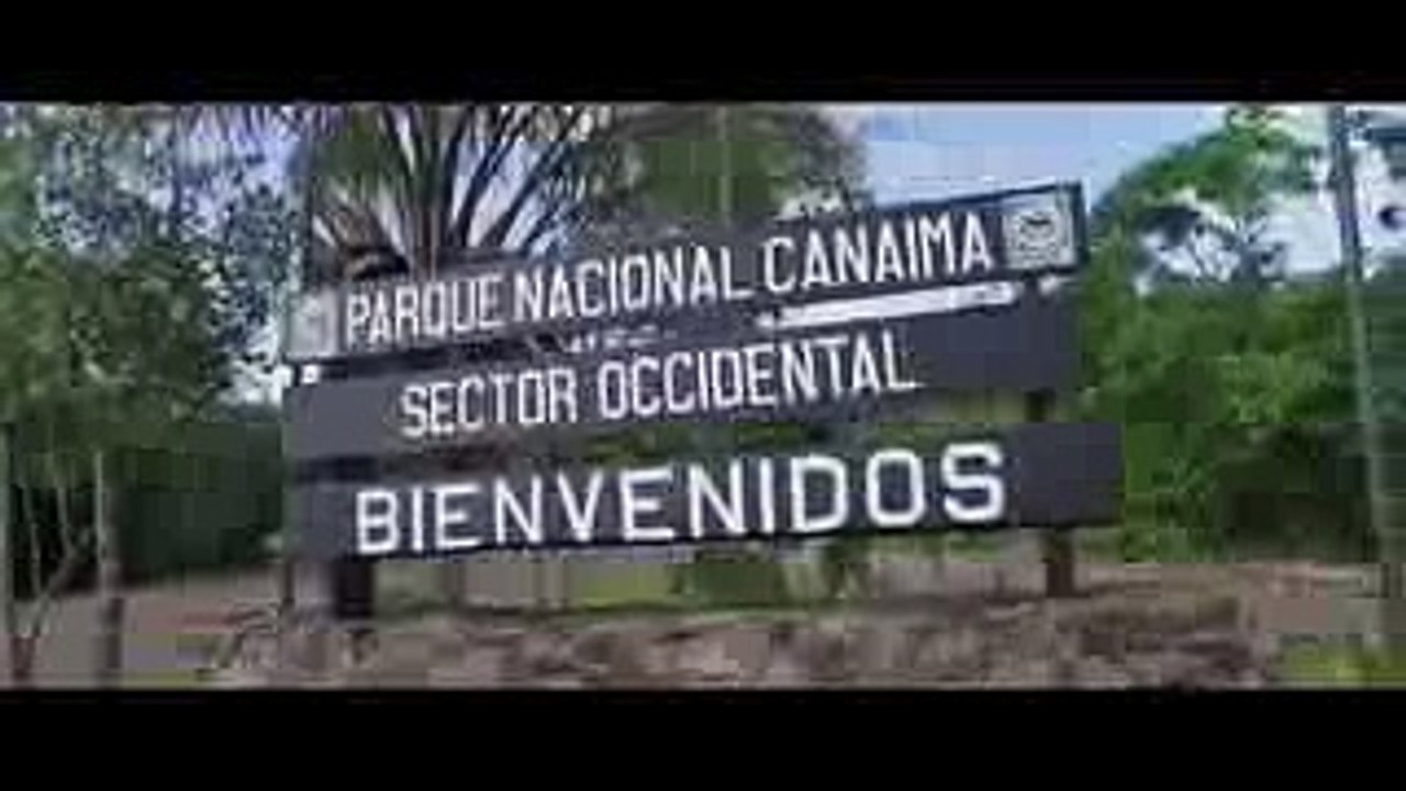 Propuesta de matrimonio de Chino Miranda